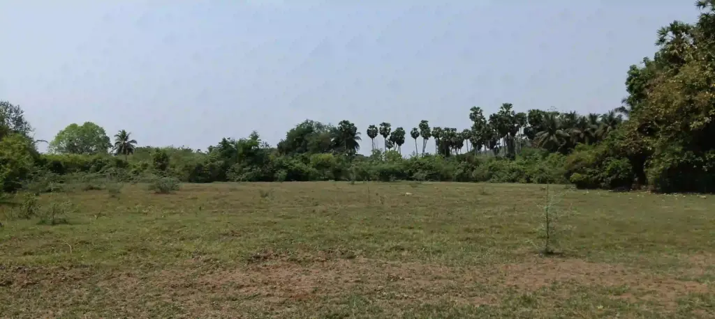 Vaithanthangal Waterbody Rejuvenation – DPR